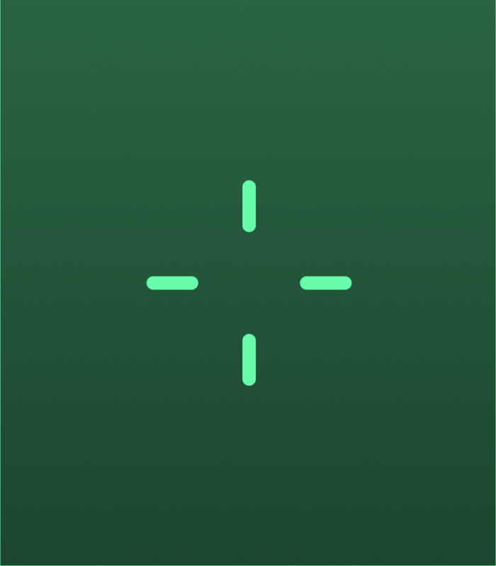Discflow PORTRAIT Report